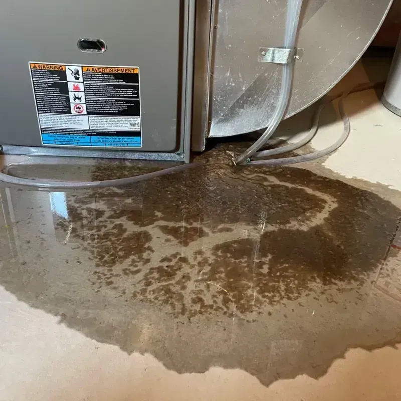 Appliance Leak Cleanup in Buchanan, VA